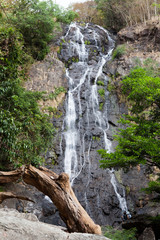 Fototapeta premium waterfall in forest