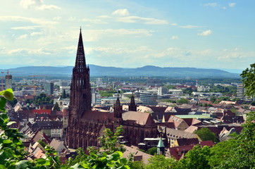 Blick aufs Freiburger M&uuml;nster