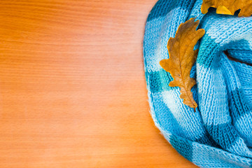 knitted scarf with autumn oak leaves. concept of autumn.