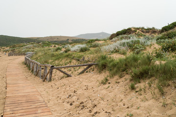 Fototapeta na wymiar Sand dunes in Sardinia Italy