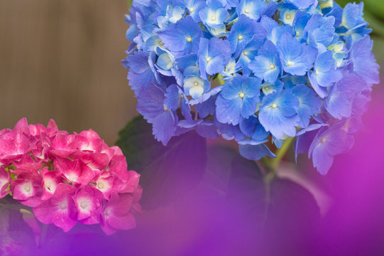 1 525 Best 梅雨イメージ Images Stock Photos Vectors Adobe Stock