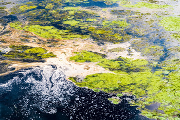 Umwelt Verschmutzung Algen auf See