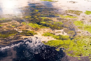 Sonnenlicht auf See mit Algen Verschmutzung