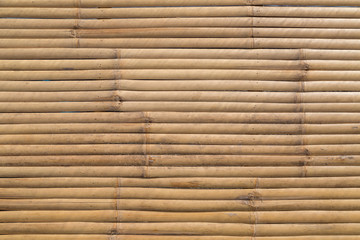 Bamboo panel texture