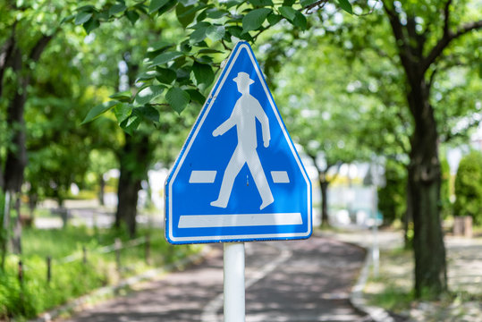 横断歩道 道路標識 ゼブラゾーン イメージ