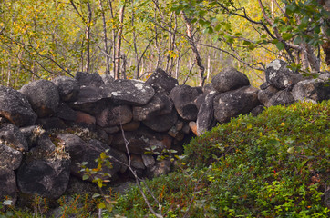 Old trench by a trekking route in a Nordic pine forest.