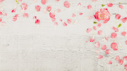 Top view petals on wooden background