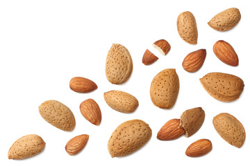 almonds isolated on white background top view