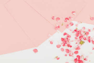 Top view flowers and petals