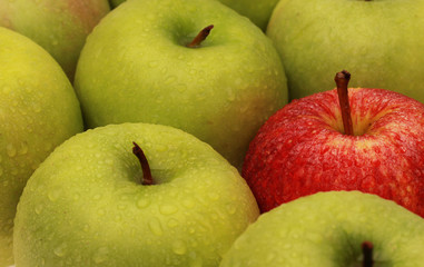 apples on white background