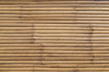 Bamboo panel texture