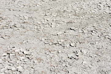 Bleached soil in the drought period with the exfoliation of the surface and with cracks