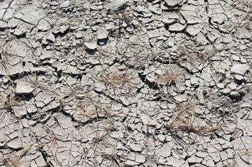 Bleached dry stratified soil in cracks with dried plants in sunny summer day