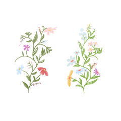 Digital hand drawn sketch illustration of two floral elements isolated on white