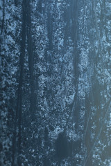 Texture goutti&egrave;re avec crepis gris