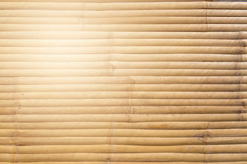 Bamboo panel texture