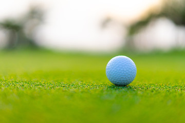 golf ball is placed on the green in the evening race.