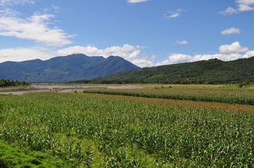 Green Fields and a mountain