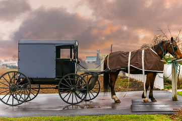 Buggy Amish typique en Pennsylvanie, USA