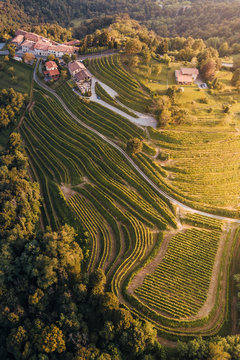 Vineyards shapes from aerial shot in Montevecchia, Italy