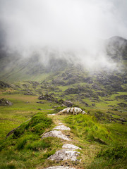 Mist and fog in national park at kerry ireland