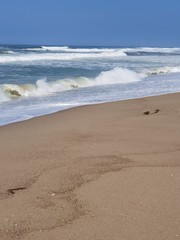 footprints on the beach