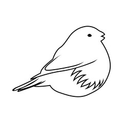 Sketch of Bird