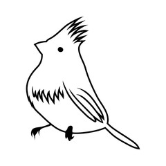 Sketch of Bird