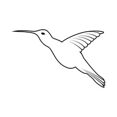 Sketch of Bird