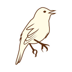 Sketch of Bird