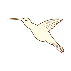 Sketch of Bird