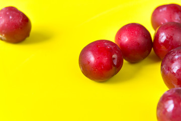 lots of red fresh plums on yellow background