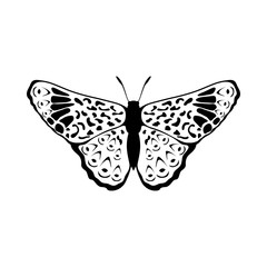 Sketch of Butterfly