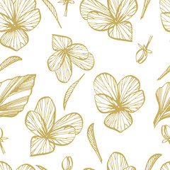 Pansy or daisy flower. Botanical illustration. Good for cosmetics, medicine, treating, aromatherapy, nursing, package design, field bouquet. Seamless pattern.