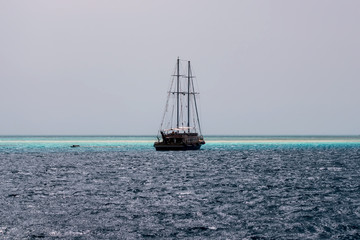 Landscape seascape Red Sea Wooden sailboat