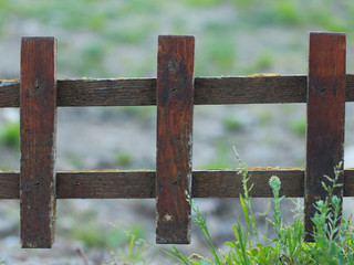 Fence with wooden fence and green grass