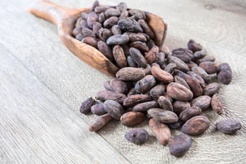 fèves de cacao