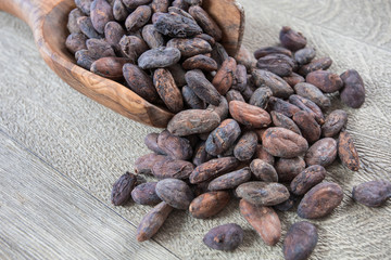 fèves de cacao