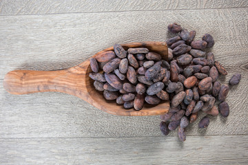 fèves de cacao