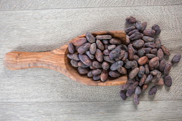fèves de cacao