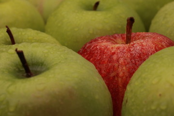 red apple on green background