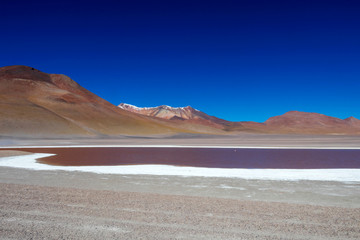 Colored Red Altiplanic Lagoon, a shallow saline lake in the southwest of the Altiplano of Bolivia