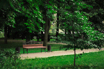 bench for relaxation and inspiration in the green park