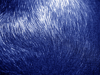 Obraz premium blue dark oil paint abstract background.