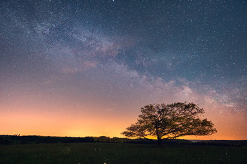 Sternenhimmel mit Milchstraße und Baum im Harz © ohenze