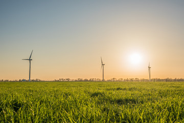 Picture of wind farm generators in the green field close to the road with cars at the sunset