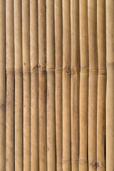 Bamboo panel texture