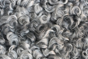Soft and fluffy sheepskin - wool. Closeup background