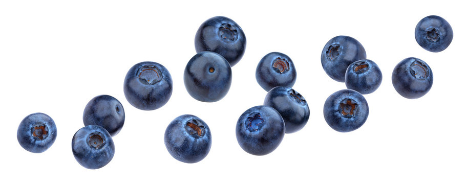 Falling blueberry isolated on white background with clipping path