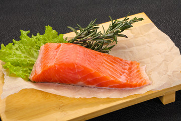 Piece of raw salmon